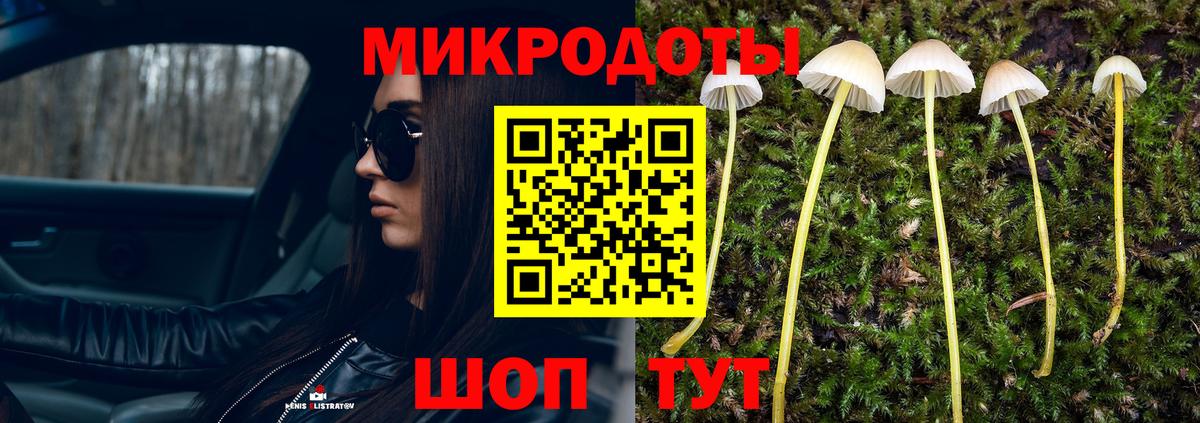 Псилоцибиновые грибы прущие грибы Юрга