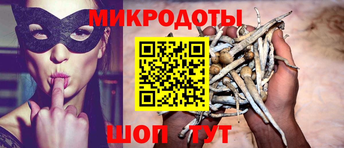 Юрга  Псилоцибиновые грибы мухоморы  Вход с VPN 
